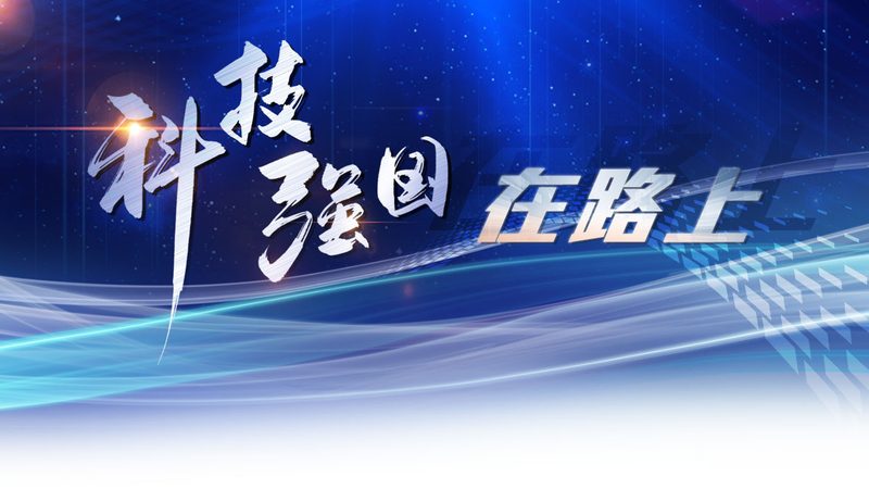 大型企业如何构建高效机器学习平台：案例分析**