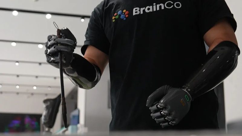 智慧牧场物联网方案：如何构建高效智能的养殖环境**